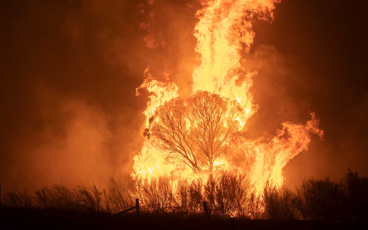 世界のゴルフ通信 5月 From Australia 故郷の山火事被害の一助に優勝とチャリティで応える選手たち ゴルフグローバル