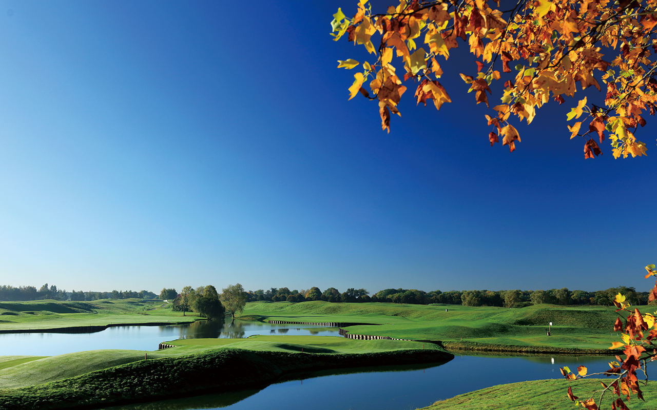 LOYAL H. CHAPMAN　究極のゴルフコース　17番　リトグラフ LOYAL H. CHAPMAN 究極のゴルフコース 17番 リトグラフ - メルカリ